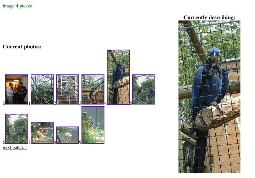 screenshot of image annotation tool showing a
parrot