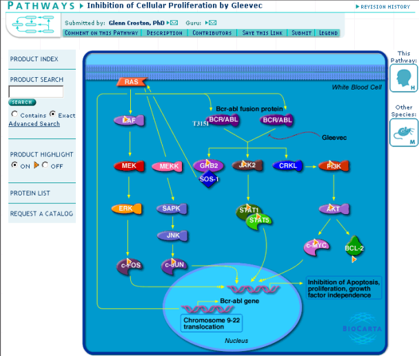 image of the gleevec pathway: http://www.biocarta.com/pathfiles/h_gleevecpathway.asp
