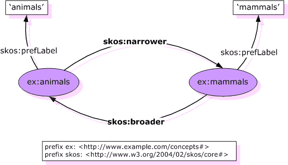 Graph of broader narrower example