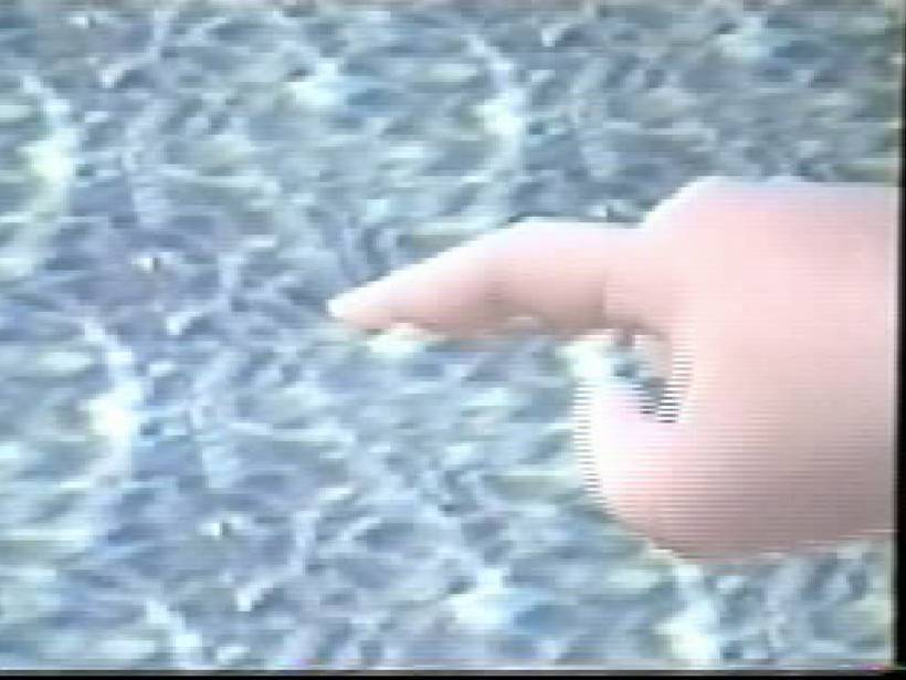 Hand reaching into water