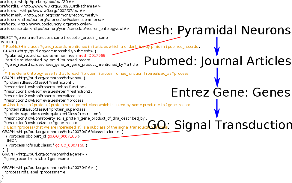 HCLS demo #2 query: SPARQL query over MeSH, PubMed, Entrez Gene, GO