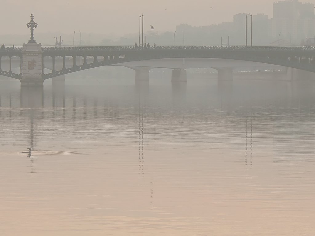 Lyon Bridge