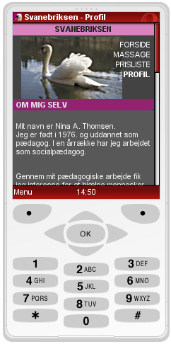 Mobile version of previous image