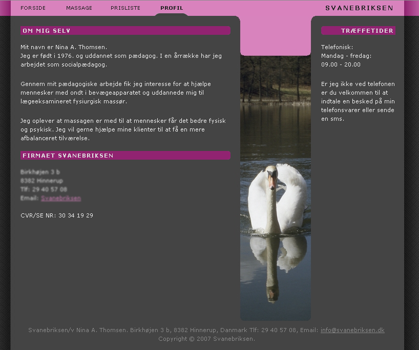 Attractive design of website showing a swan