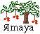 W3C-Amaya