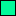 mediumspringgreen color-patch