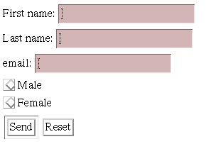 An example form rendering.