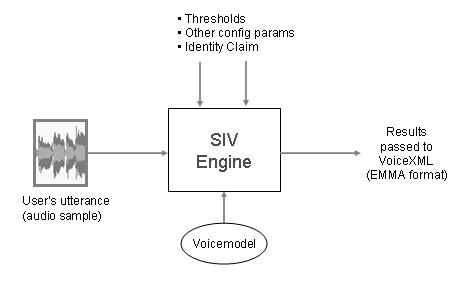 Overview of SIV processing information flow