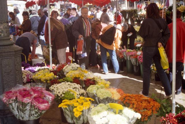 Flower market in Aix-en-Provence