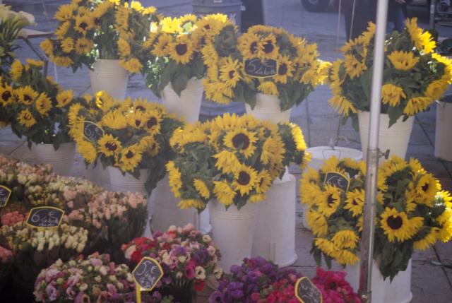Sun flowers on the market