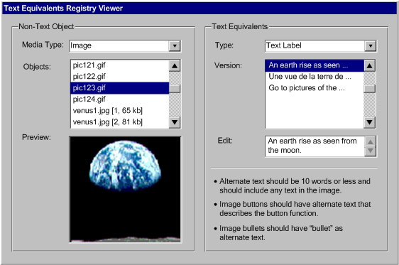 Illustration of a text equivalents registry editing tool