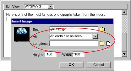 Illustration of image insertion dialog showing accessibility prompts as well as required attribute prompt for src.