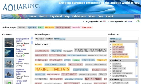 Figure 1: Semantic Tag Cloud screen shot