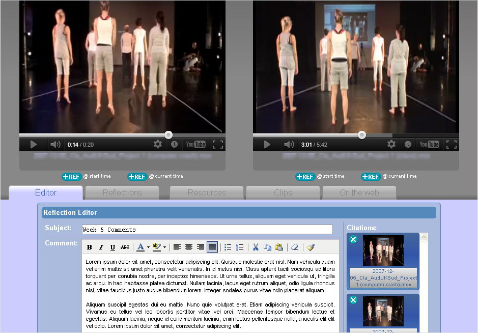 Screenshot of the Reflection Manager