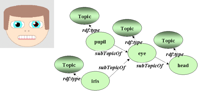 head anatomy topics hierarchy