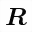 MATHEMATICAL BOLD ITALIC CAPITAL R