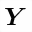 MATHEMATICAL BOLD ITALIC CAPITAL Y