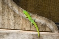 Thumbnail for version as of 02:17, 14 February 2011