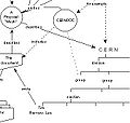 Thumbnail for version as of 13:53, 24 July 2010