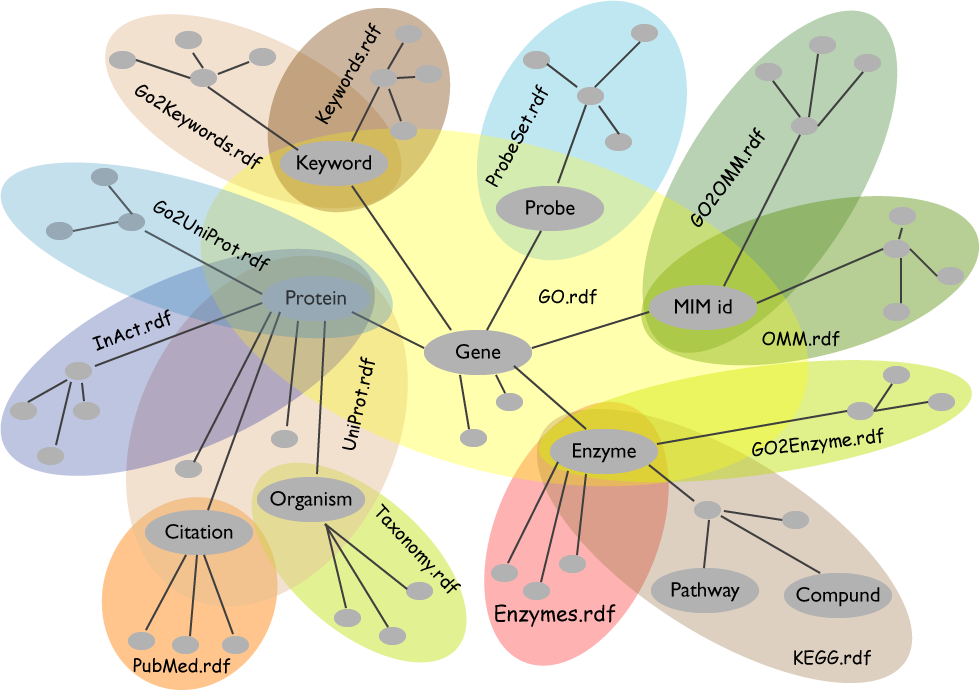 diagram showing a large number of HC related ontologies bound via a RFD-like graph