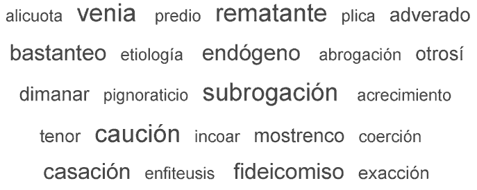 nube de tags de palabras muy raras en castellano que aparecen en el BOPA