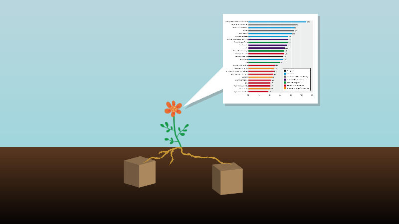 Flower with roots in data