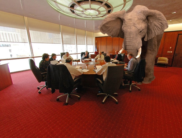 An elephant in a meeting toom