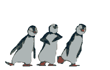 3 dancing penguins