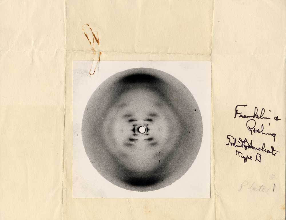 Franklin's X-Ray crystallography image of DNA