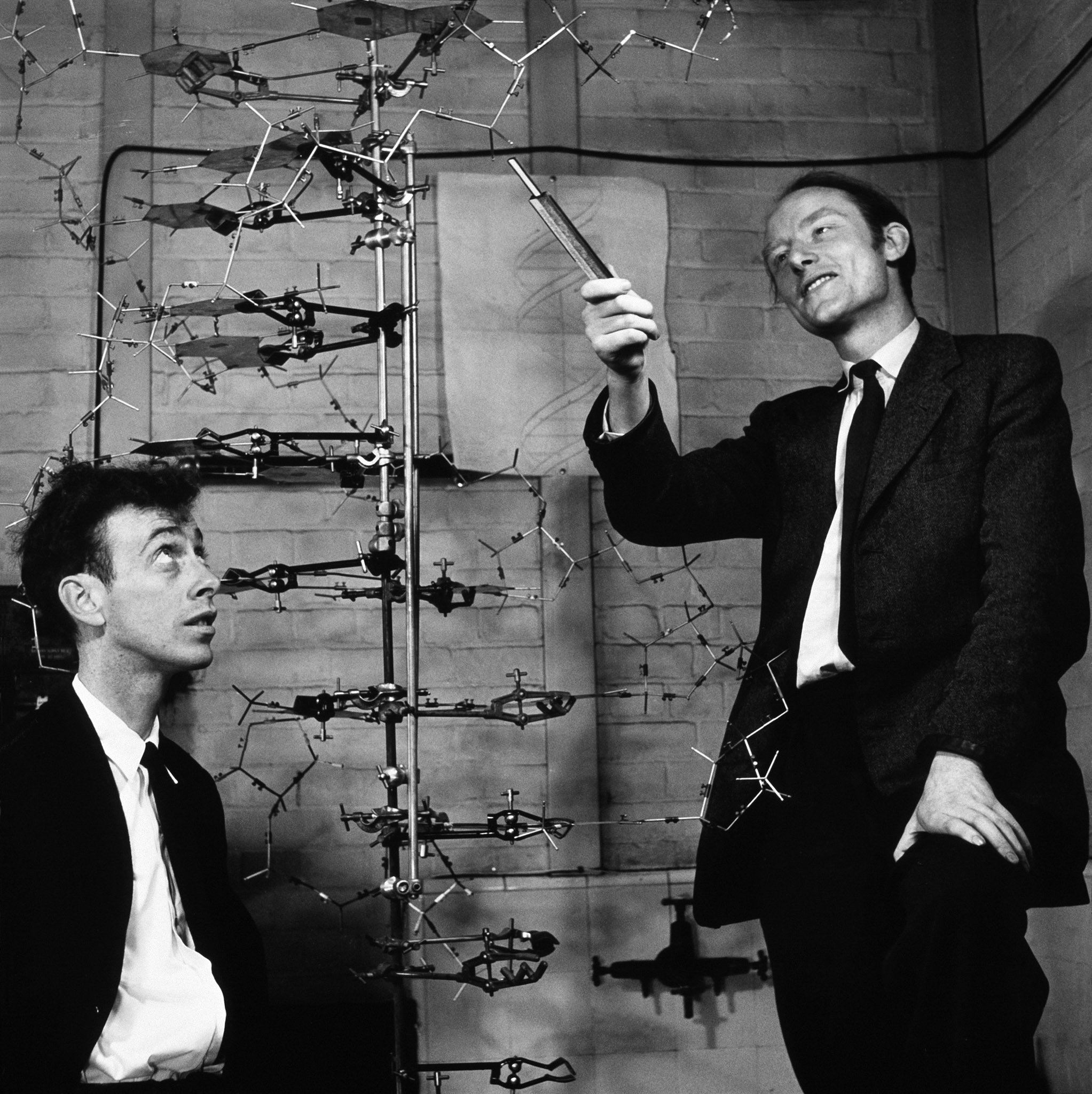 Crick and Watson with their DNA model