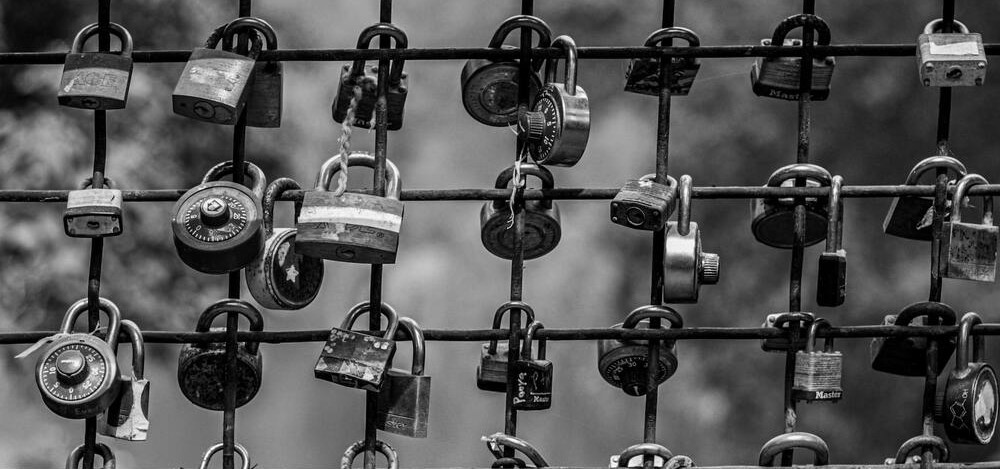 padlocks attached to a fence, picture by Parsoa Khorsand