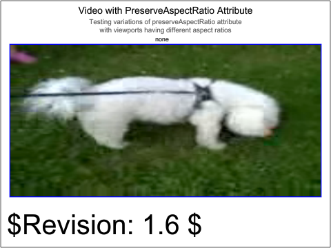 raster image of media-video-204-t