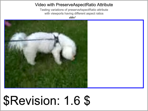 raster image of media-video-205-t