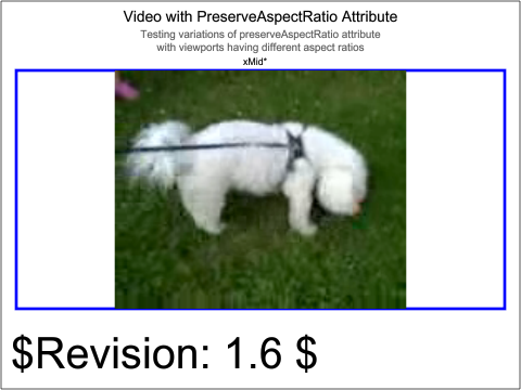 raster image of media-video-206-t