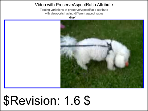 raster image of media-video-207-t