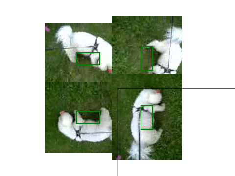 raster image of media-video-216-t