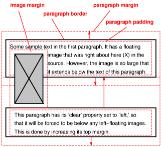 Image showing a floating image and the effect of 'clear: left'
on the two paragraphs.