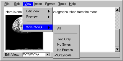 Illustration shows an authoring tool with a drop down menu of different rendering options