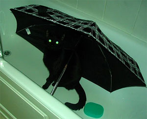 Lola the cat sitting under an umbrella in the bath tub.