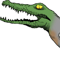 crocodile's angry, chomping head