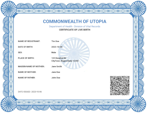 A picture of the front of a birth certificate containing information such as the newborn's name, parent's names, information about the hospital, attendees, and person responsible for the registration.