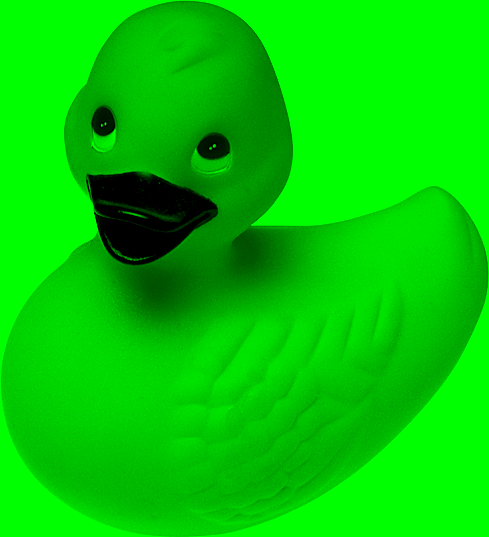 example of an image of duck blending with the green color of the document