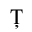 LATIN CAPITAL LETTER T WITH COMMA BELOW