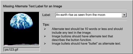 Screenshot of contrived accessibility prompting checker