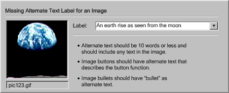 Screen shot demonstrating a page from a dedicated accessibility prompting checker