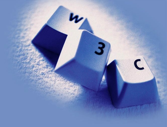 W3C Logo