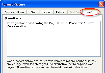 The Web tab in the Format Picture dialog.