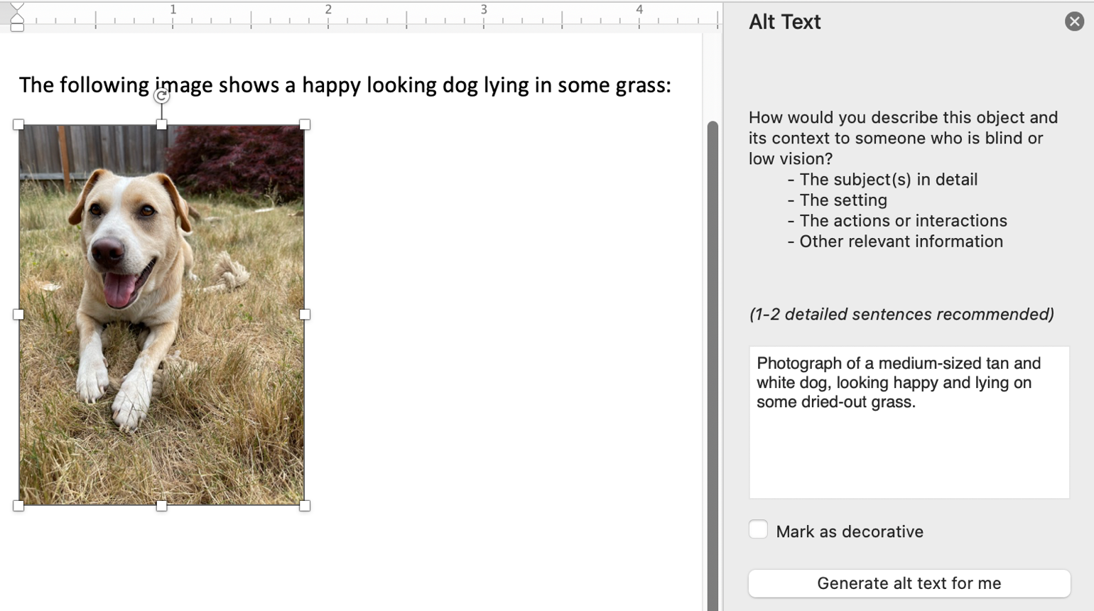 Word's Alt Text interface being used to add alt text to a photograph of a dog.