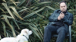 person with mobile phone and guide dog