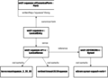 Thumbnail for version as of 14:04, 15 September 2014